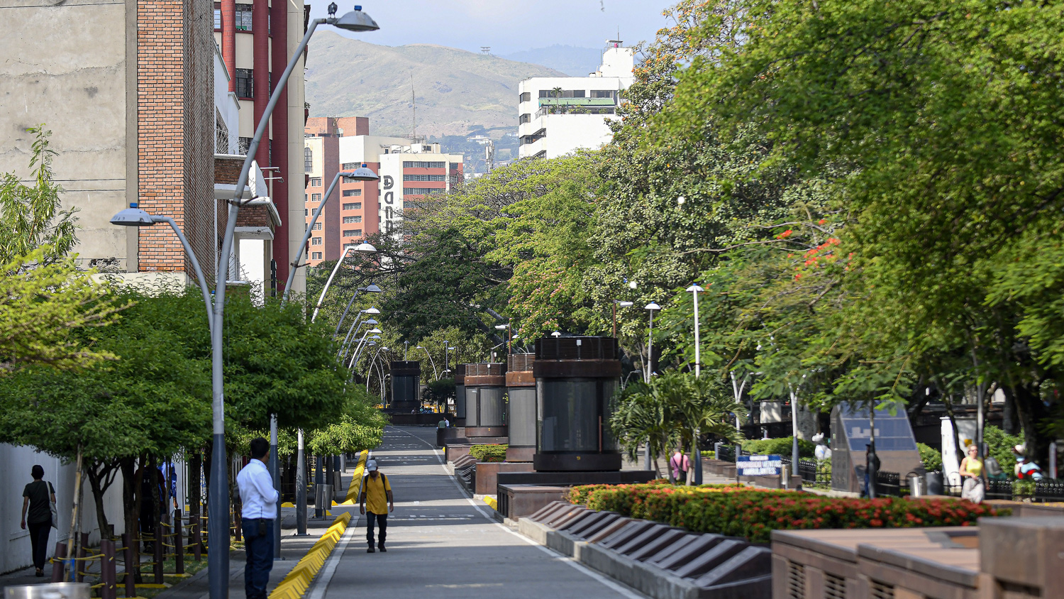 Bulevar del Rio