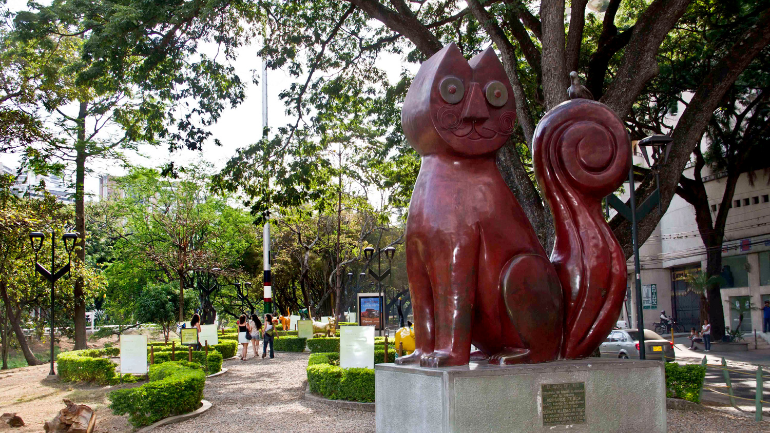 Gato de Tejada y sus gatas