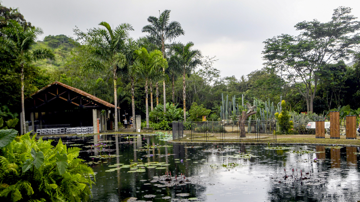 Jardin Botanico de Cali