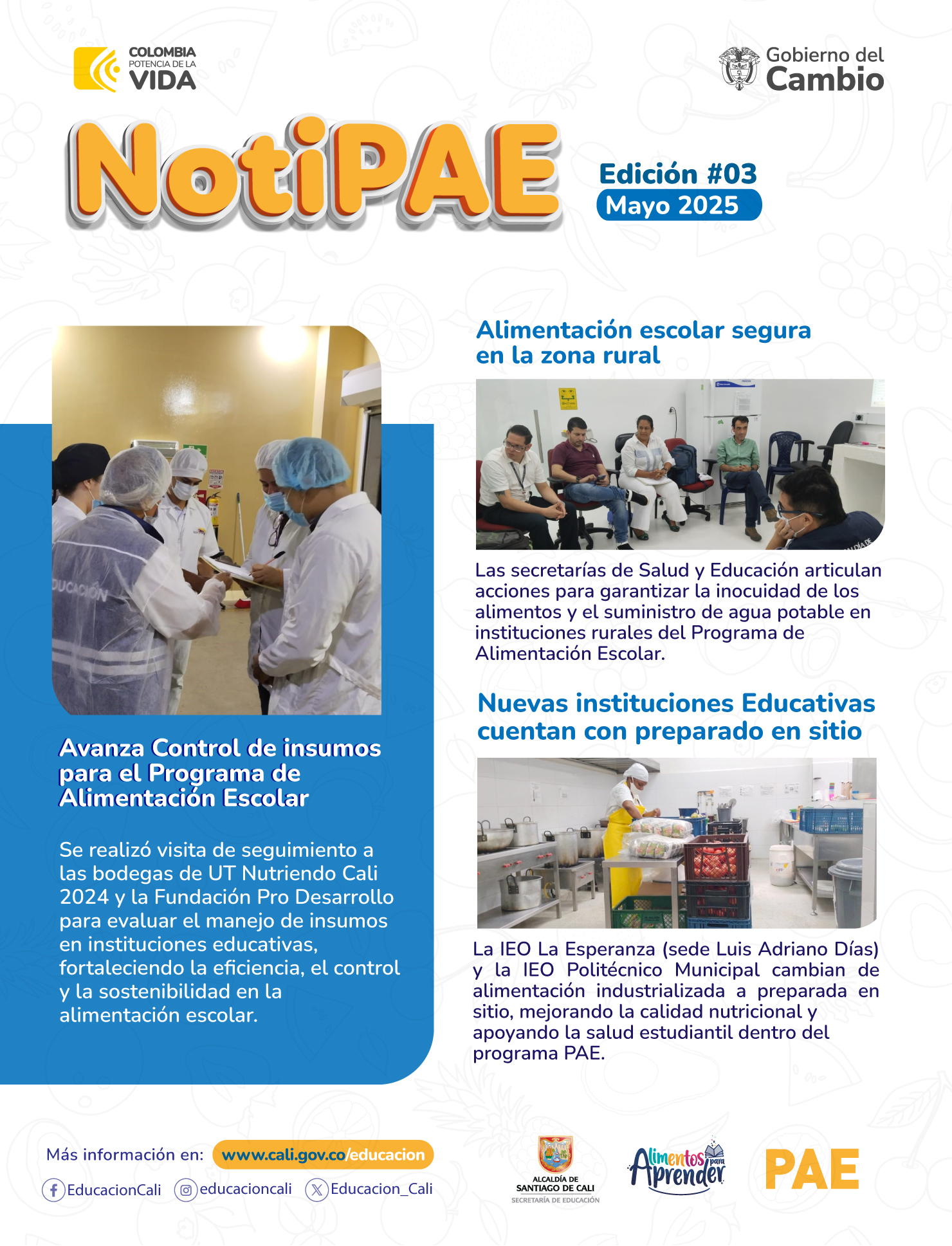 NotiPAE Edición 4 2025