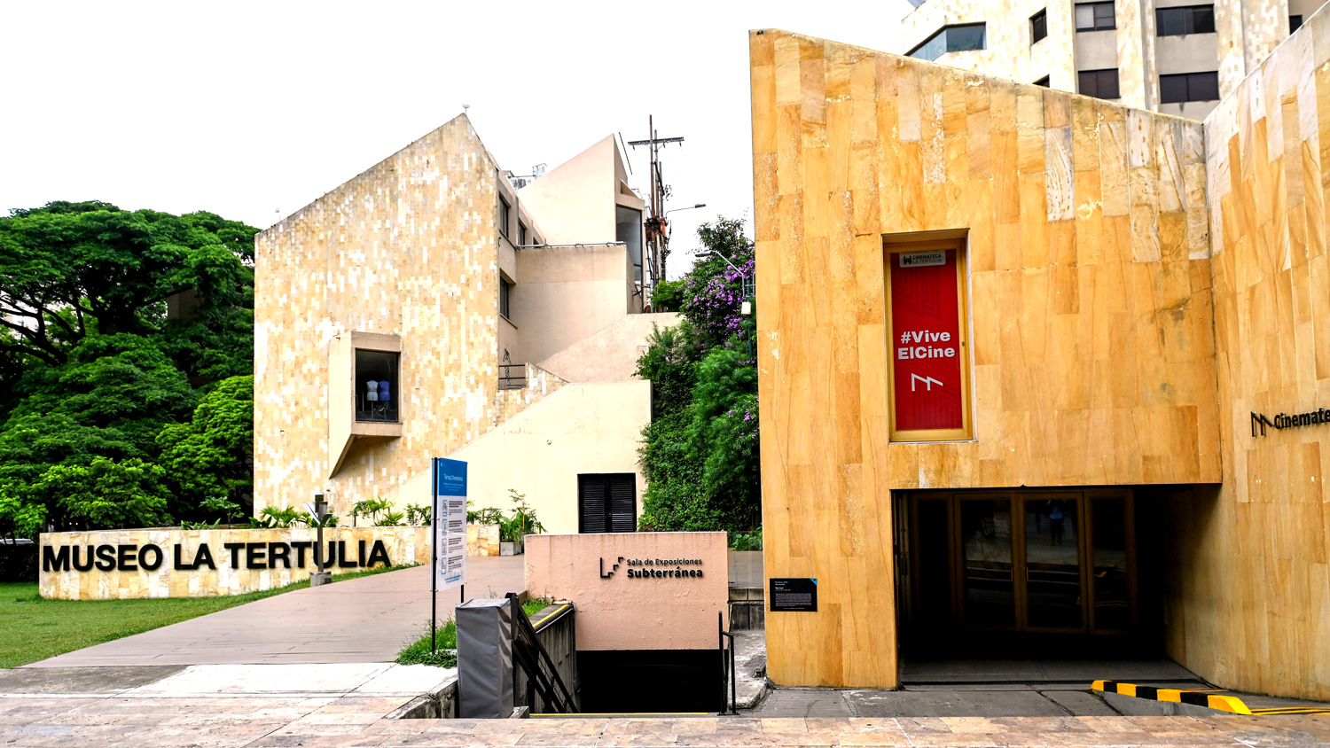 Museo Tertulia