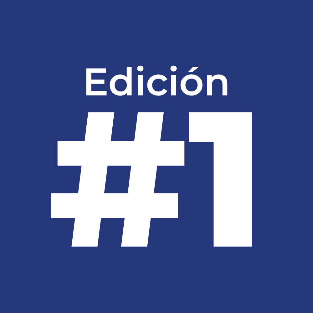 Revista INFODATIC Edición 1 Color