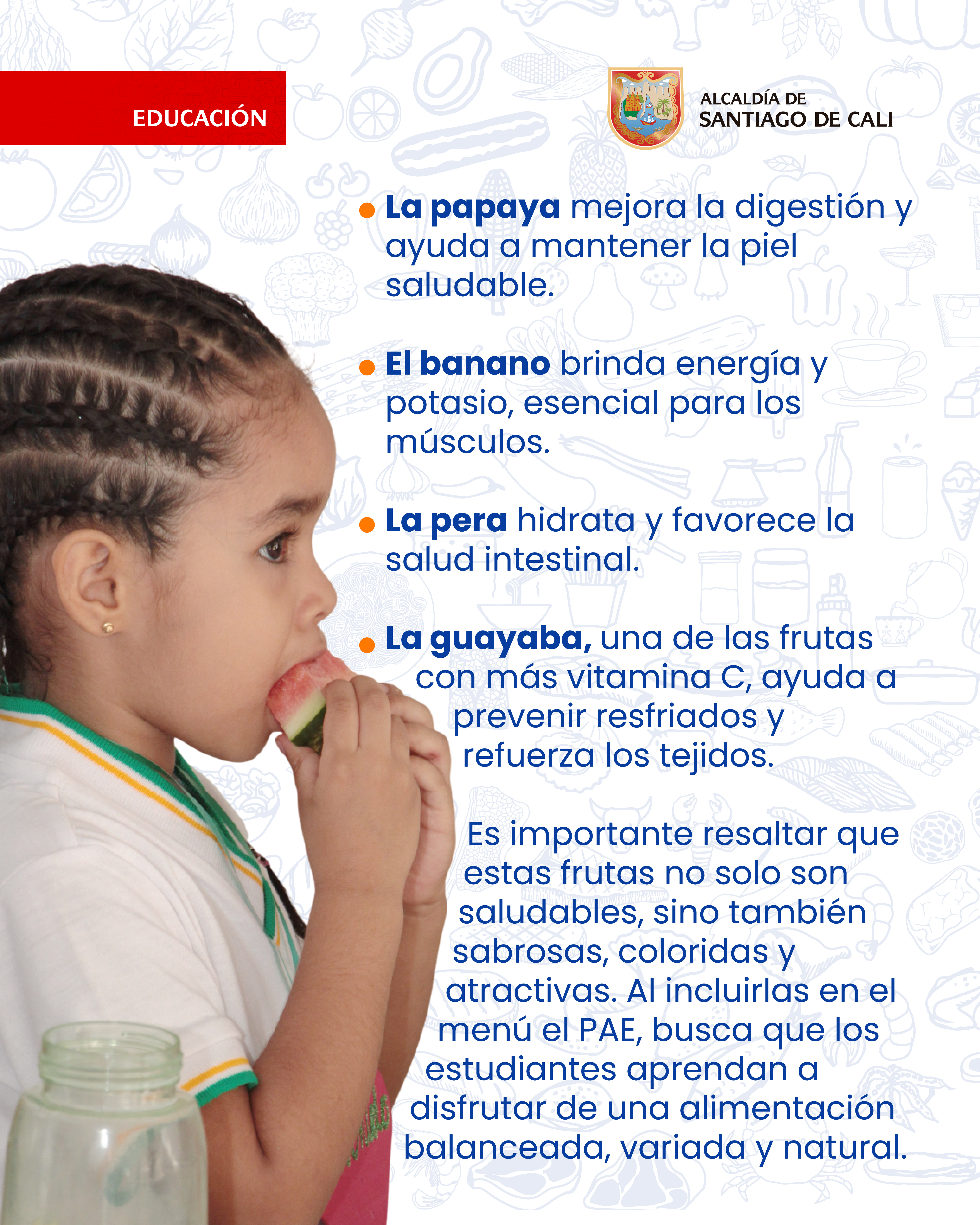 BENEFICIOS DE LAS FRUTAS 3 Canales de atención PAE
