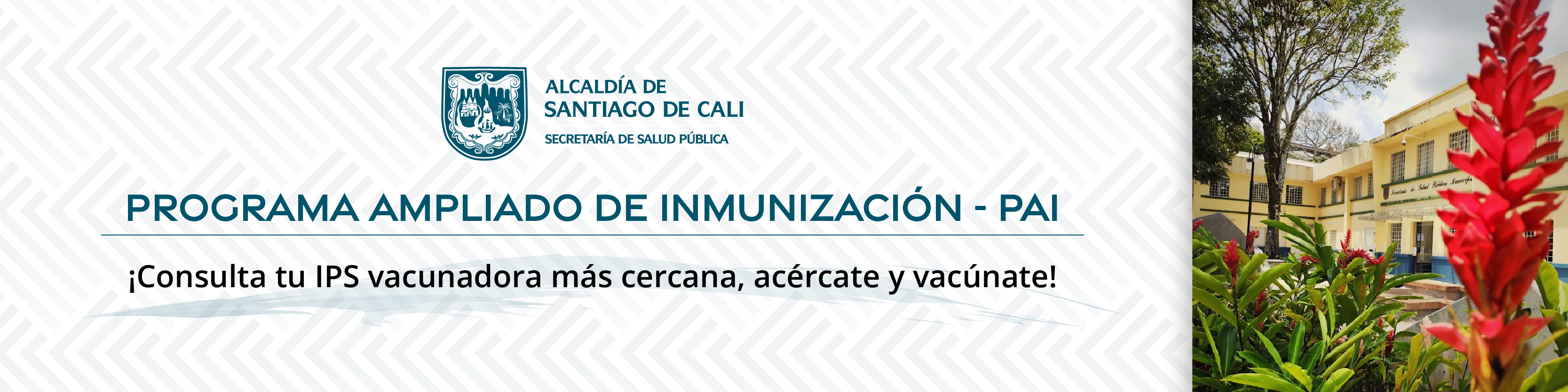 7.1_1BannerGrupoProgramaAmpliadodeInmuhunización-PAI 7.1_1BannerGrupoProgramaAmpliadodeInmuhunización-PAI
