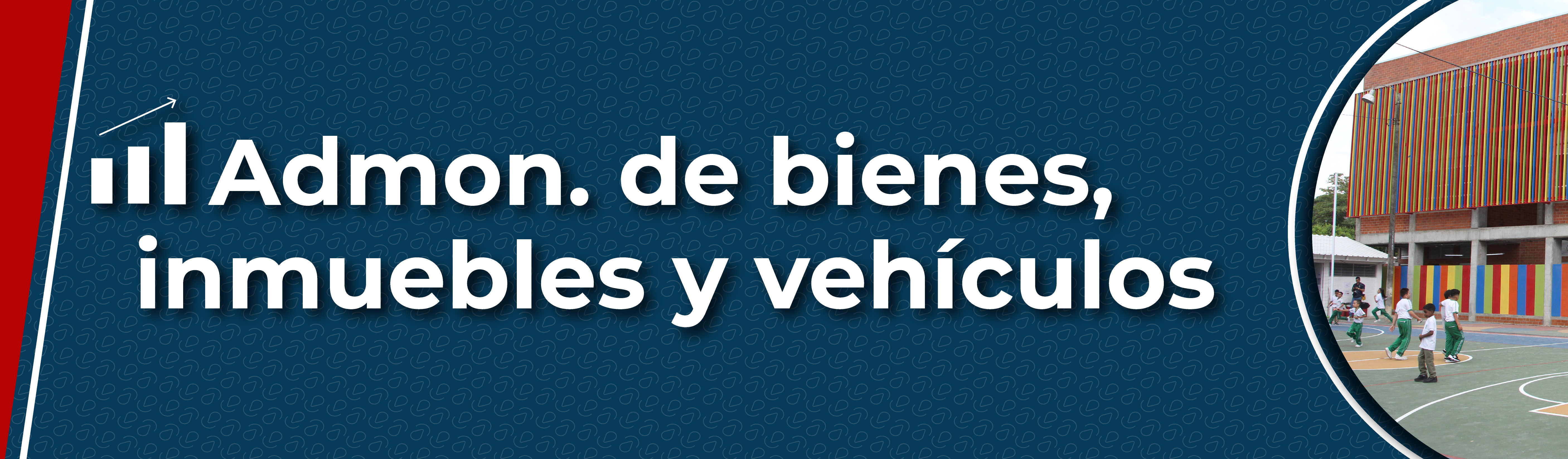 Administración de bienes, inmuebles y vehículos