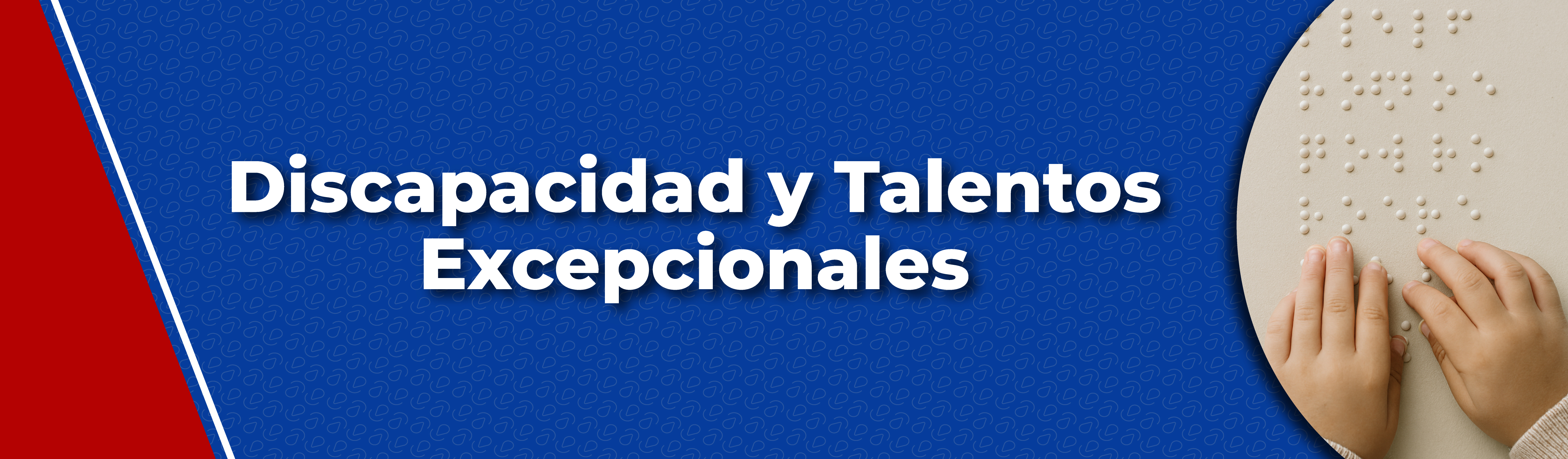 Banner - Discapacidades y talentos especiales Banner - Discapacidades y talentos especiales