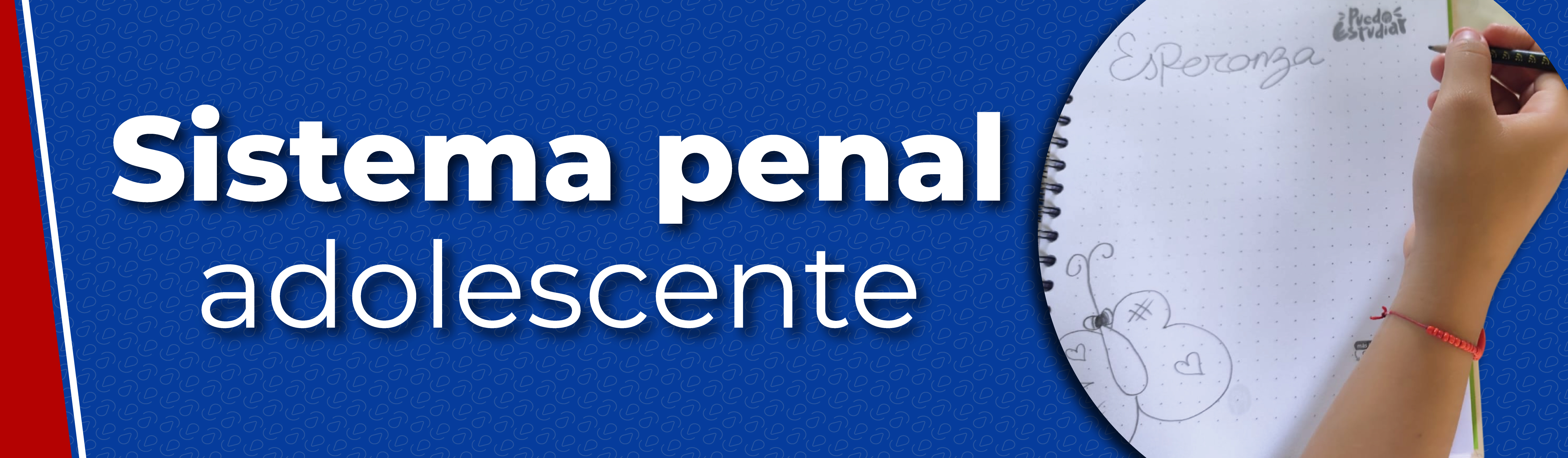 Banner - SRPA Banner - SRPA