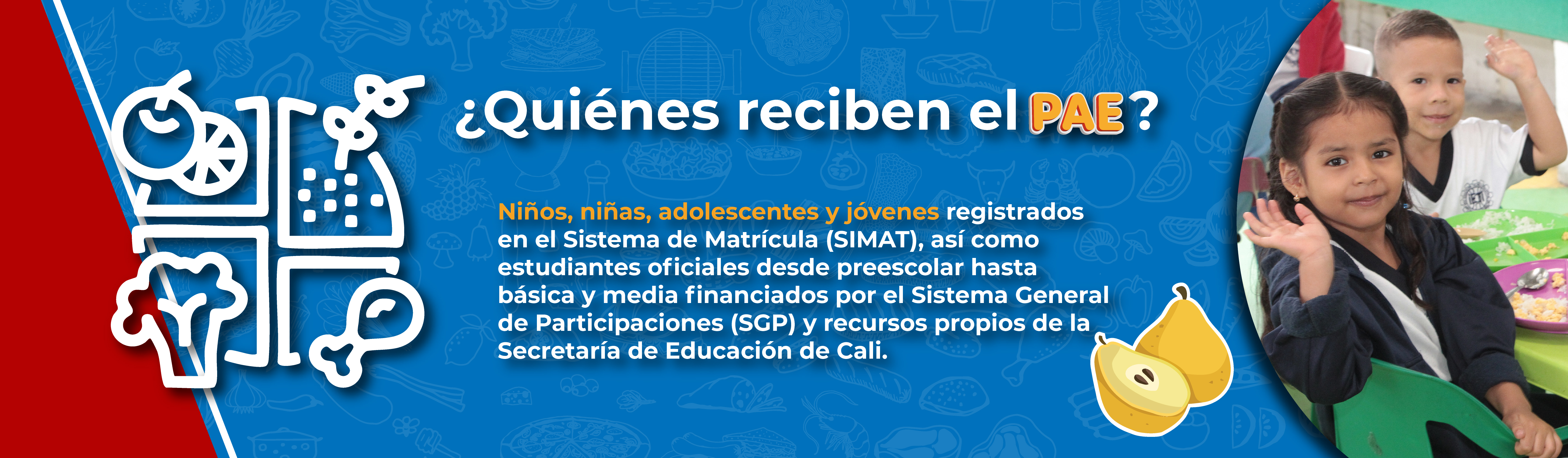 ¿Quiénes reciben el PAE?