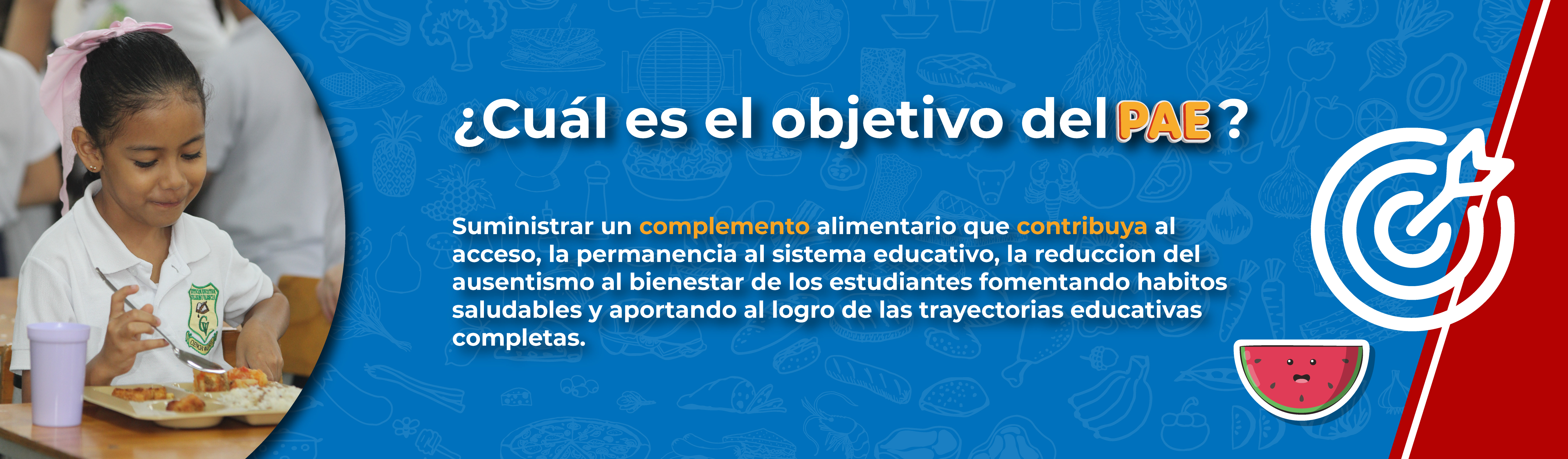 ¿Cual es el objetivo del PAE?