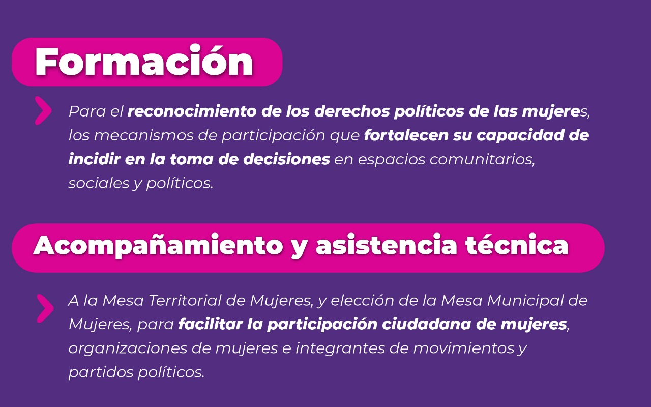 Lineas de acción