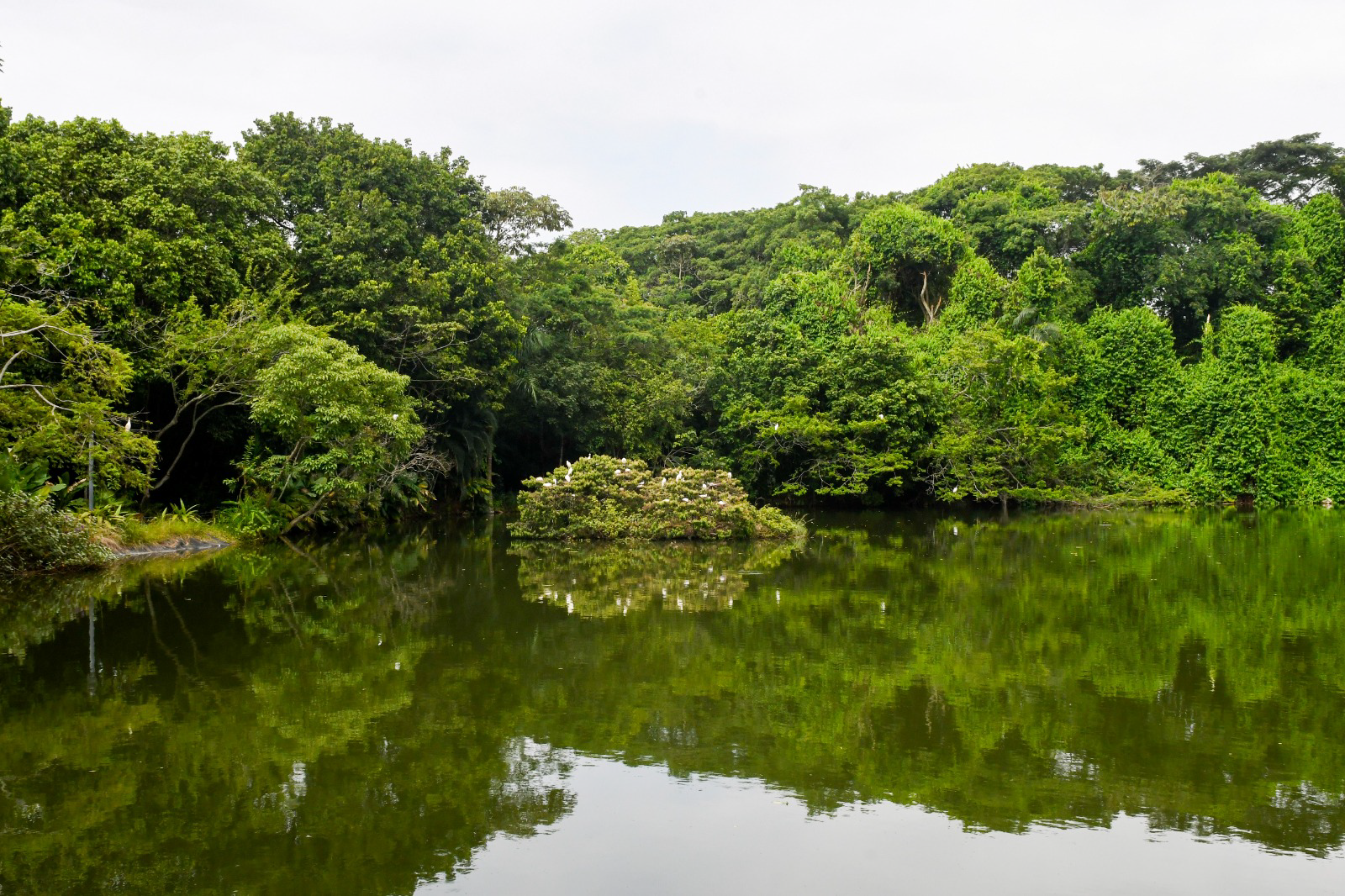 Biodiversity