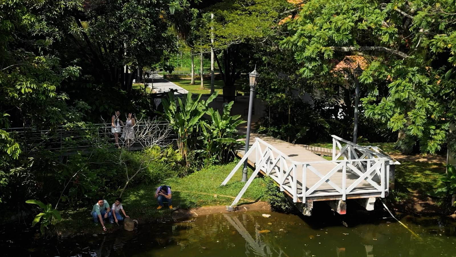 El cumpleaños de Cali florece en el Ecoparque Lago de la Garzas con una jornada ambiental para reconocer nuestra biodiversidad