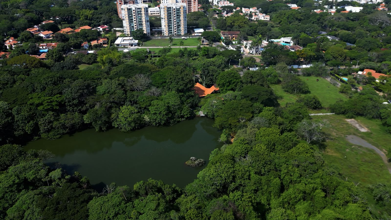 El cumpleaños de Cali florece en el Ecoparque Lago de la Garzas con una jornada ambiental para reconocer nuestra biodiversidad