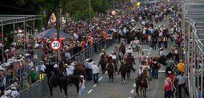 Ajustan recorrido del MÍO para dar paso a la Cabalgata