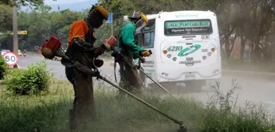 Dagma comenzará en febrero mantenimiento de zonas verdes de Cali
