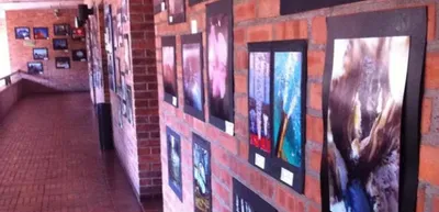 Exposición Lírica Urbana, en la Videoteca Municipal hasta el 15 de agosto