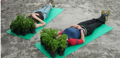 Naturalezas de un mundo feliz, en el Centro Cultural de Cali