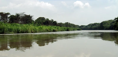 El río Cauca no es para nadar, menos en temporada de lluvia: Oficina de Gestión del Riesgo