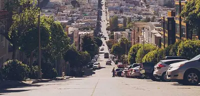 ¿Por qué se caen los árboles?