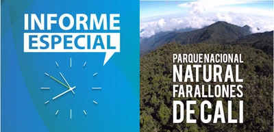 ¿Por qué conservar los ecosistemas del Parque Nacional Natural Farallones de Cali?