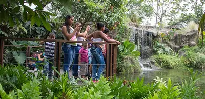 Víctimas del conflicto armado visitan el zoológico con el programa Cali Acoge