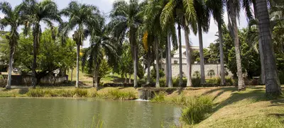 61 humedales entre públicos y privados hacen parte del paisaje de Santiago de Cali