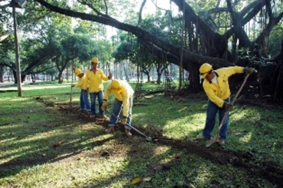 ALCALDÍA DE CALI Y CÁMARA DE COMERCIO, COMPROMETIDAS CON LA RECUPERACIÓN DE LAS ZONAS VERDES DE LA CIUDAD