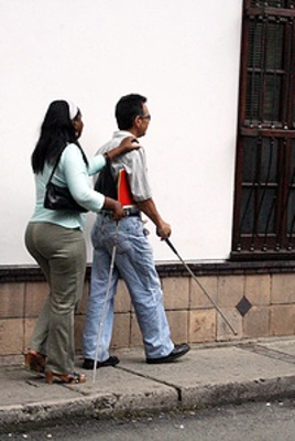 EL COMITÉ MUNICIPAL DE DISCAPACIDAD TRAZARÁ SU LÍNEA DE ACCIÓN PARA EL 2009