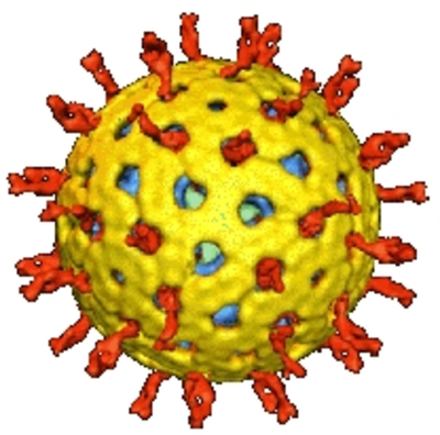 SE INICIÓ LA VACUNACIÓN GRATUITA DEL ROTAVIRUS