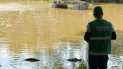 DAGMA evalúa afectaciones en el Humedal La Babilla