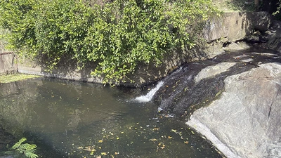 Dagma y Policía Ambiental realizan operativo contra el lavado de vehículos en fuentes hídricas