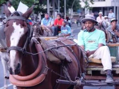 ADMINISTRACIÓN MUNICIPAL PONE FRENO AL MAL TRÁNSITO DE VEHÍCULOS DE TRACCIÓN ANIMAL EN LA CIUDAD