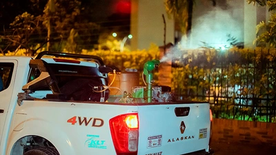 El mosquito del dengue ama el diseño interior… y vive entre floreros, materas y bebederos