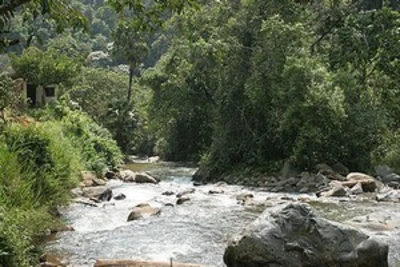 LA ADMINISTRACIÓN CALEÑA ESTÁ COMPROMETIDA CON LA PROTECCIÓN DEL MEDIO AMBIENTE