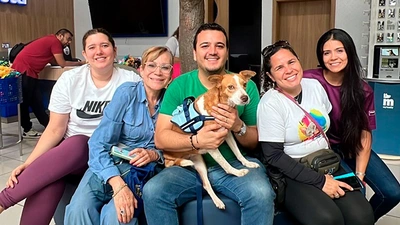 Cali se consolida como referente nacional con su ‘Ruta contra el Maltrato  Animal’