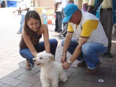 HUELLAS DE AMOR CON EL CUIDADO DE LAS MASCOTAS