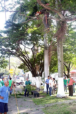 LA COMUNA 19 HARÁ PARTE DE MI CALI BELLA