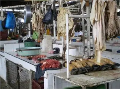 OPERATIVO NOCTURNO DE LA SECRETARÍA DE SALUD EN LA PLAZA DE MERCADO SANTA ELENA