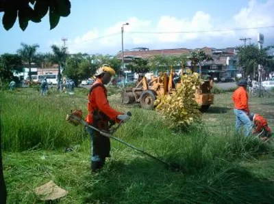 SIETE MILLONES DE METROS CUADRADOS DE ZONAS VERDES DE LA CIUDAD HAN SIDO INTERVENIDOS POR EL DAGMA