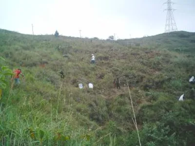 SIETE MILLONES DE METROS CUADRADOS DE ZONAS VERDES DE LA CIUDAD HAN SIDO INTERVENIDOS POR EL DAGMA