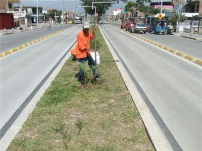 MANTENIMIENTO DE ZONAS VERDES DE LA CIUDAD ESTARÁ LISTO PARA EL FIN DE MES 