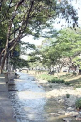 Rueda de prensa: recuperación del río Cali