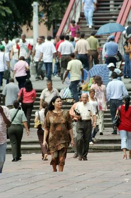 46% de la población caleña está infectada con Toxoplasmosis 