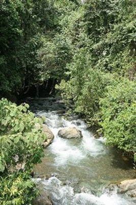 Dagma invita a la reflexión en el día mundial del medio ambiente