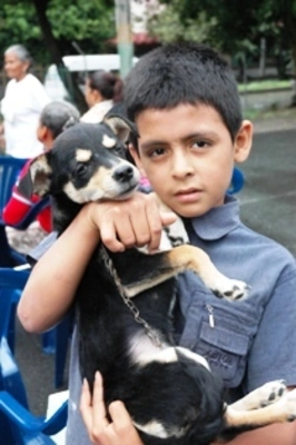 Desde ya Cali se prepara para el Día del Respeto por los Animales
