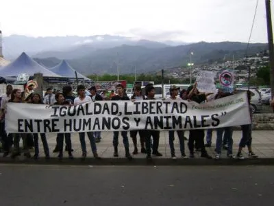Director del Dagma rechaza agresiones a activista defensor de animales