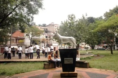 Secretaría de Gobierno continúa procesos contra 30 negocios del parque del Perro por uso de suelo 
