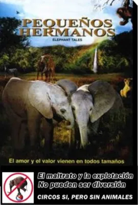 Videoteca presenta ‘Pequeños Hermanos’ en el ciclo de cine animalista 