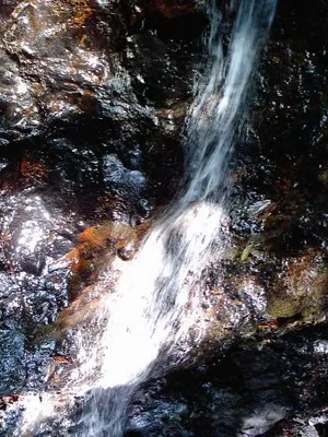Administración Municipal invita a consumir el agua con inteligencia