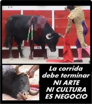 En septiembre, todos sentimos igual en la Videoteca de Cali